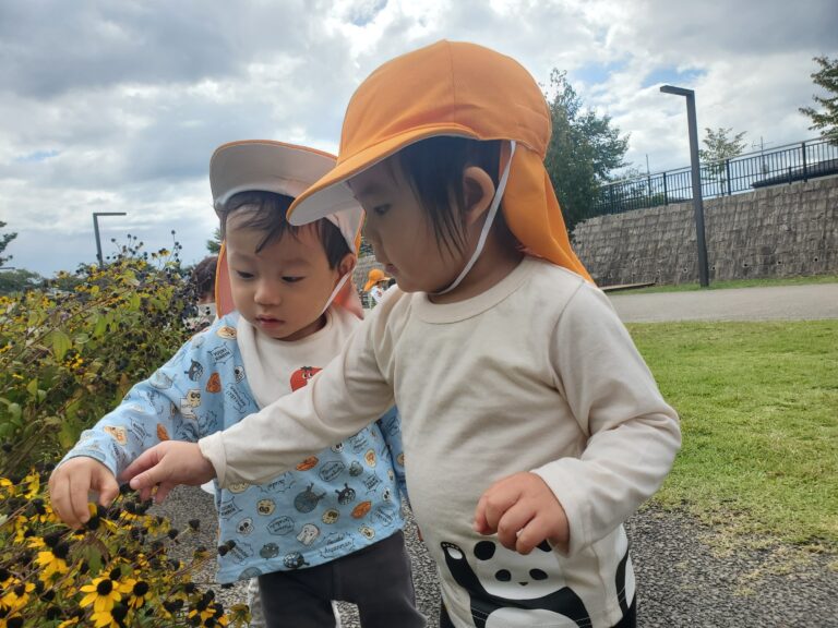 小さい秋見つけた🍂(1歳児🐬)