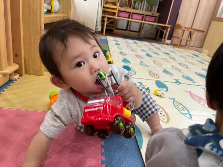 新しいお友だちが仲間入り🤝🏻(0歳児🦦)