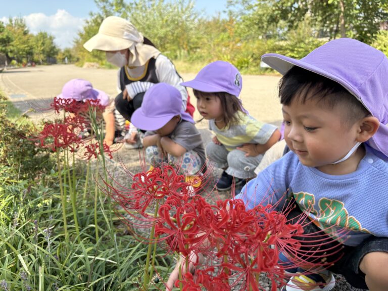 保護中: お散歩に出かけよう👟🌿（1歳児🐬）