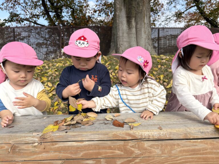 保護中: 落ち葉がいっぱい🍂(1歳児🐬)